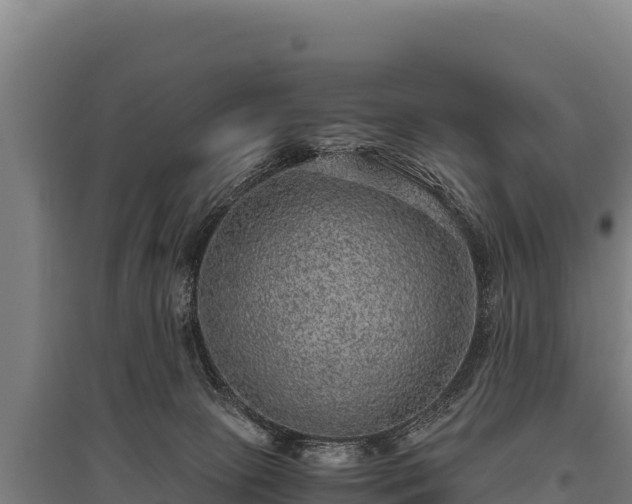 X0000095950081200801181431