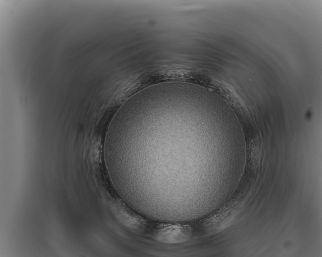 X0000095950083200801181431