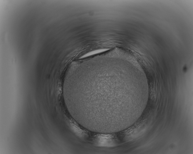 X0000095950085200801181431