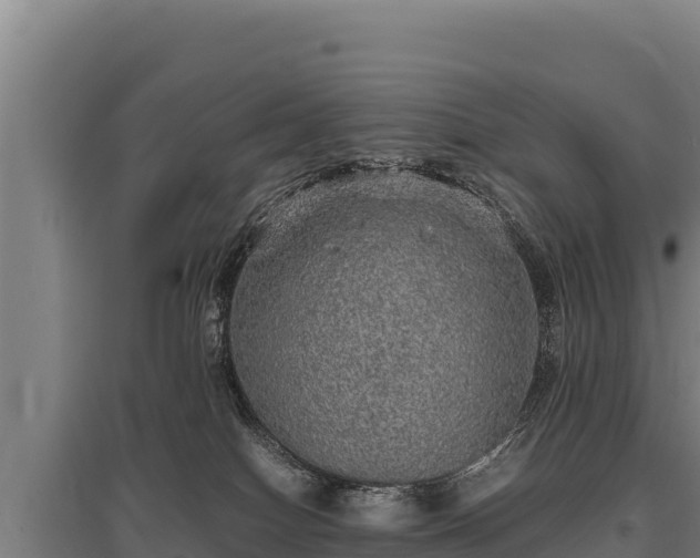 X0000095950086200801181431