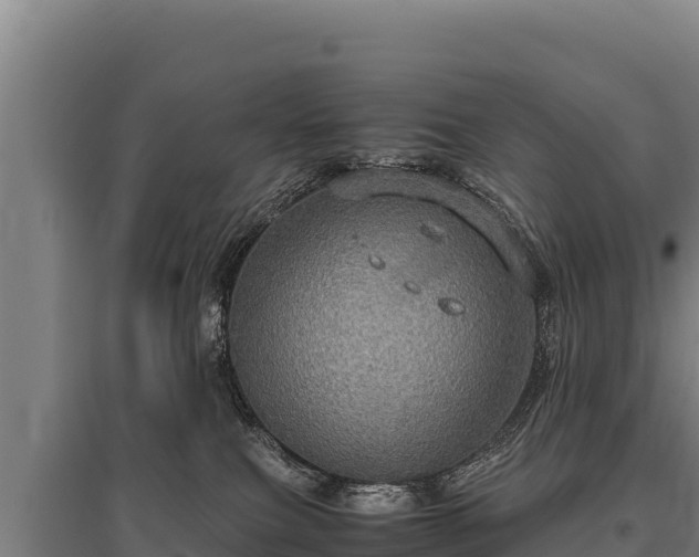 X0000095950087200801181431