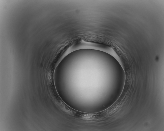 X0000095950088200801181431