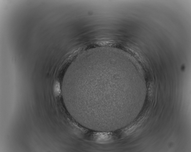 X0000095950089200801181432