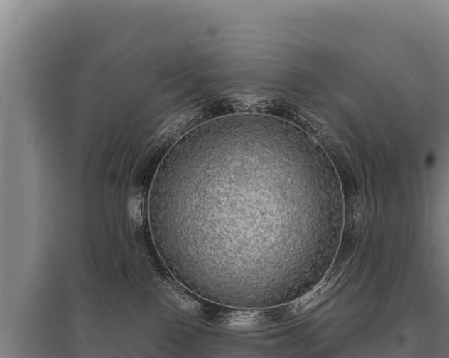 X0000095950090200801181432