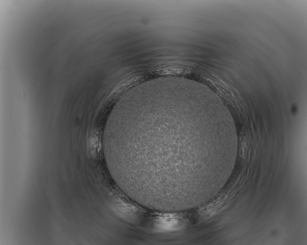 X0000095950091200801181432