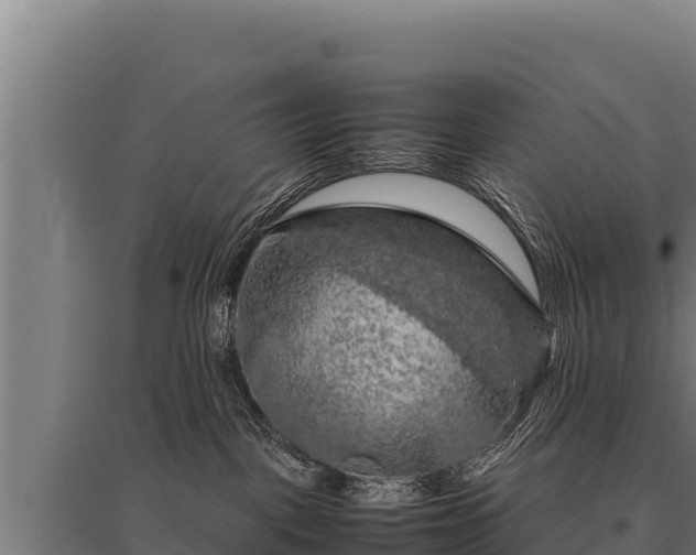 X0000095950093200801181432