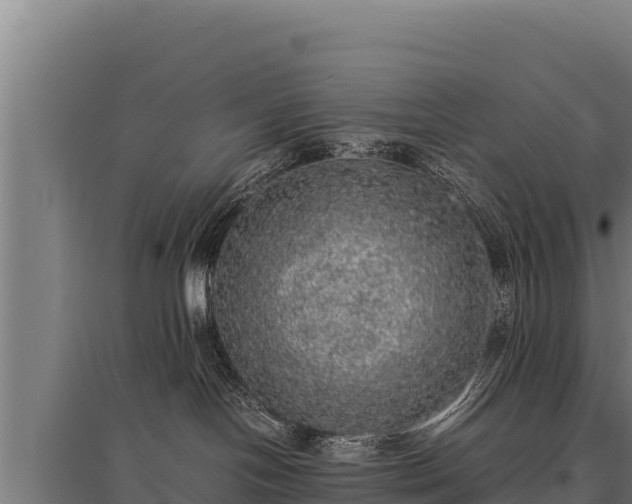 X0000095950094200801181432