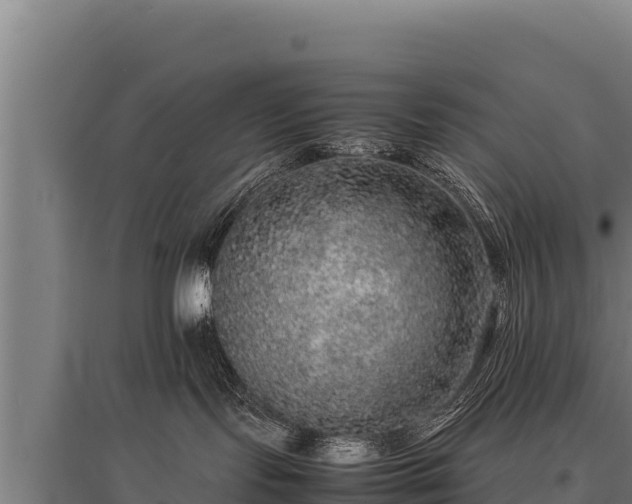 X0000095950095200801181432