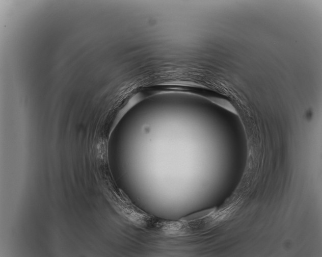 X0000095950096200801181432