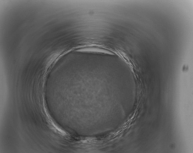 X0000095950097200801181431