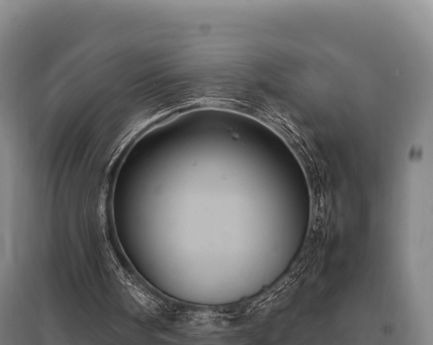 X0000095950098200801181431