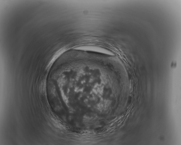 X0000095950099200801181431