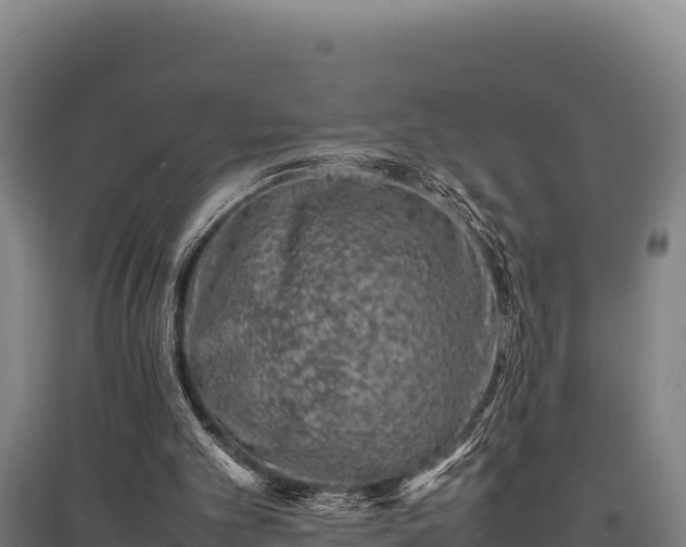 X0000095950101200801181431