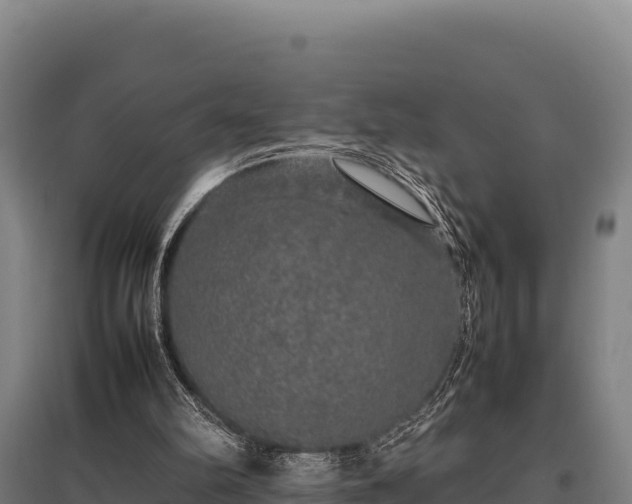 X0000095950102200801181431