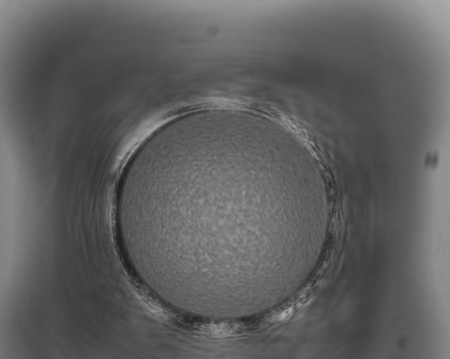 X0000095950103200801181431