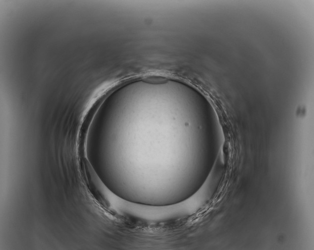 X0000095950104200801181431