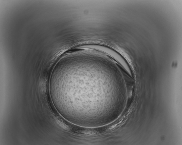 X0000095950105200801181431