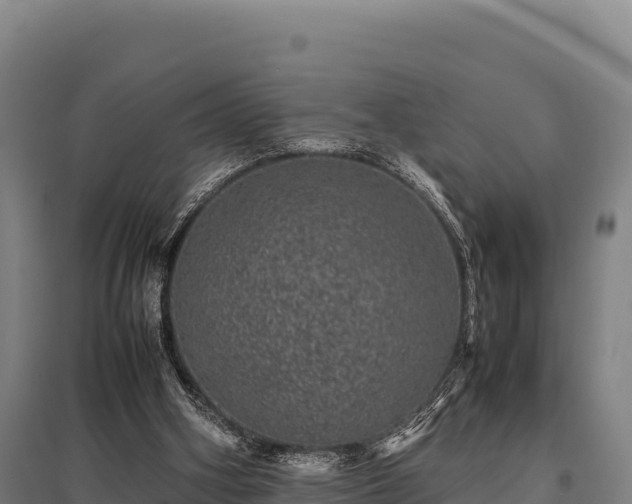 X0000095950106200801181431