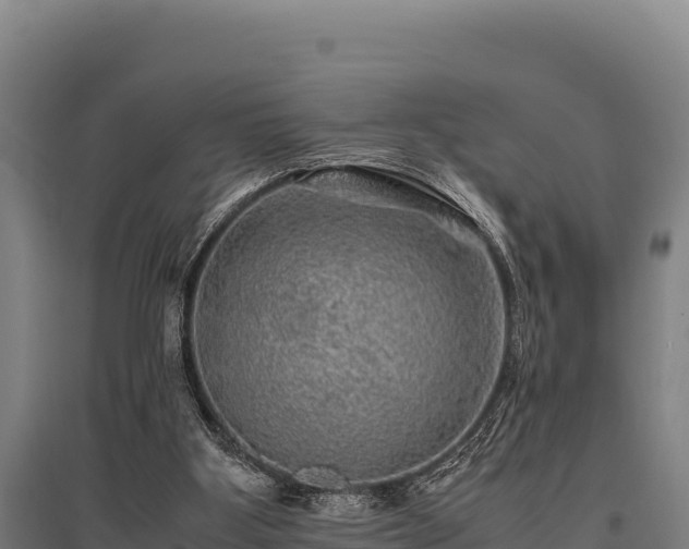 X0000095950107200801181431