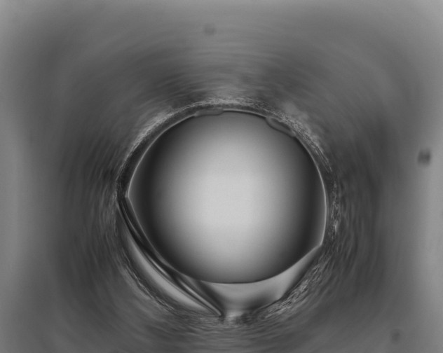 X0000095950108200801181431