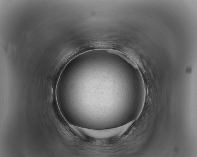 X0000095950109200801181431