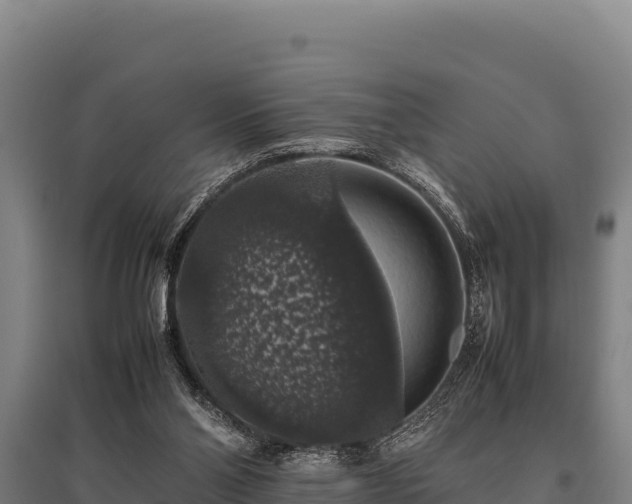 X0000095950110200801181431