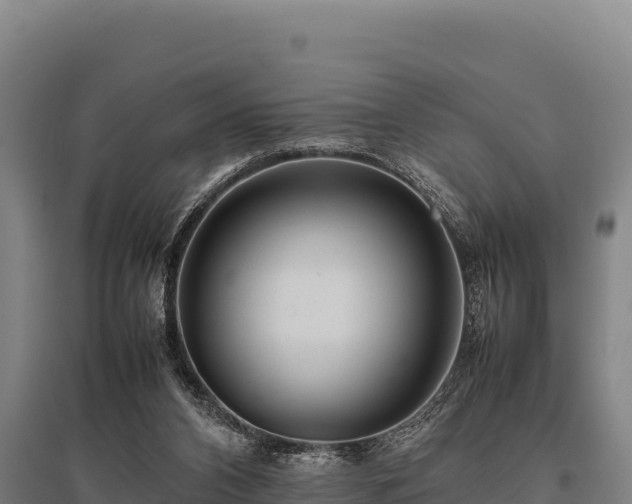 X0000095950112200801181431