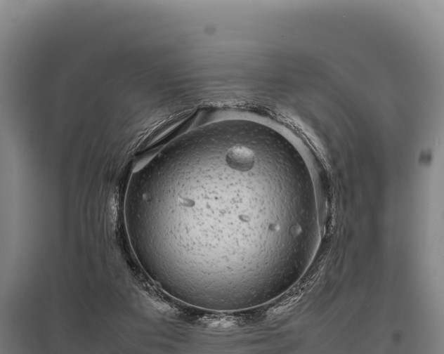 X0000095950113200801181431