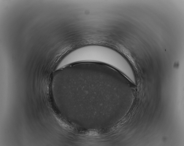 X0000095950114200801181431