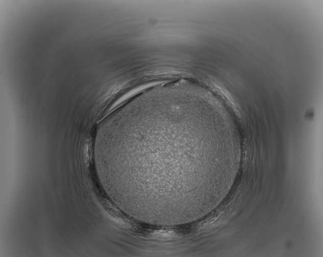 X0000095950119200801181431