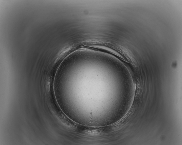 X0000095950120200801181431