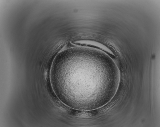 X0000095950123200801181431