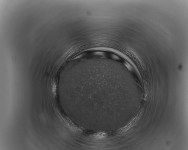 X0000095950124200801181431