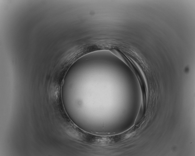 X0000095950125200801181431