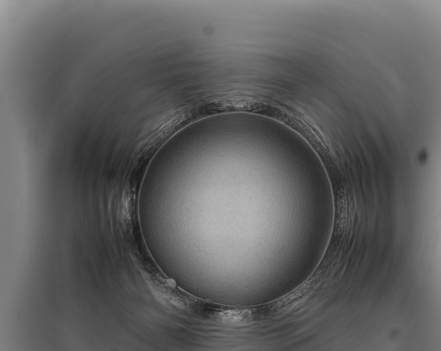 X0000095950126200801181431