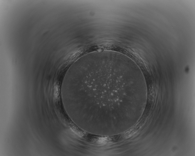 X0000095950130200801181430