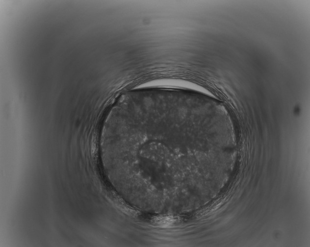 X0000095950131200801181430