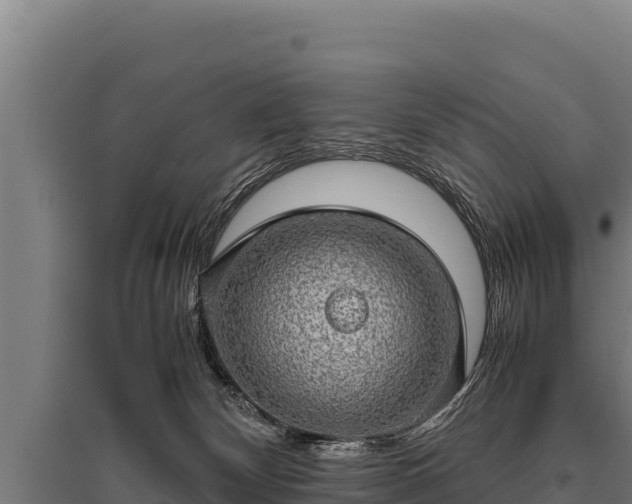 X0000095950132200801181430