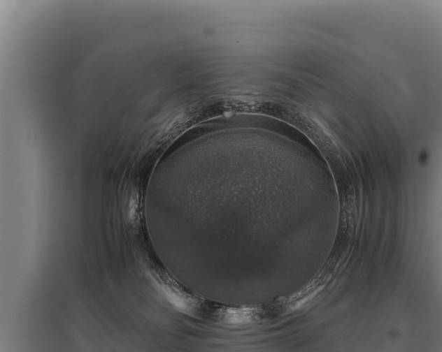 X0000095950134200801181430