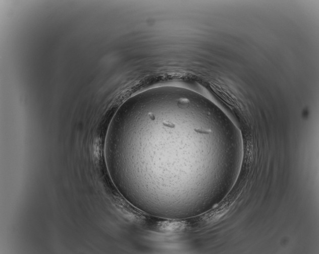 X0000095950135200801181430