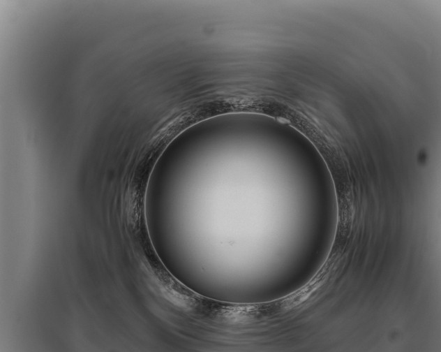 X0000095950136200801181430