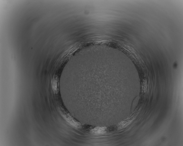 X0000095950138200801181430