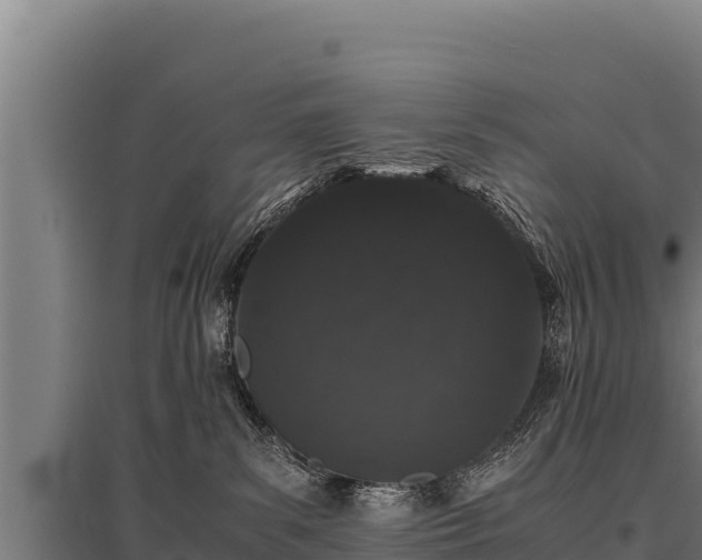 X0000095950139200801181430