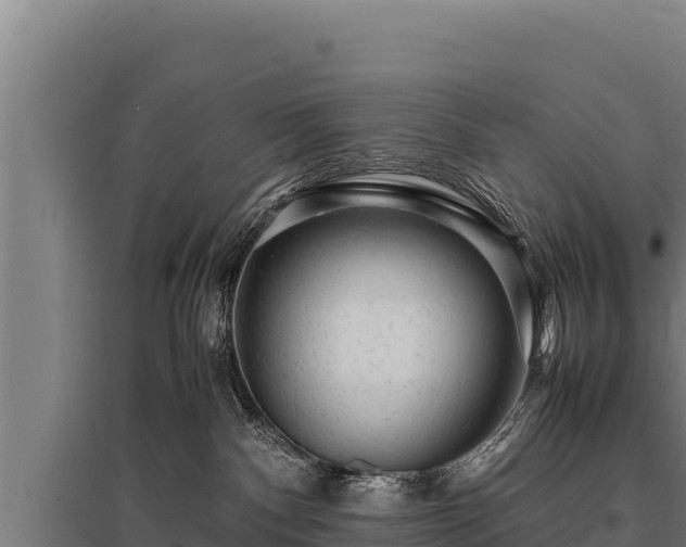 X0000095950140200801181430