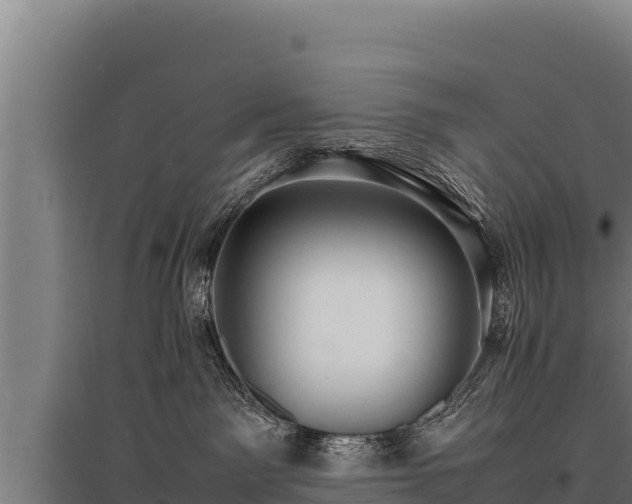 X0000095950141200801181430