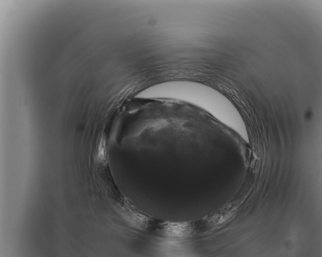 X0000095950143200801181430