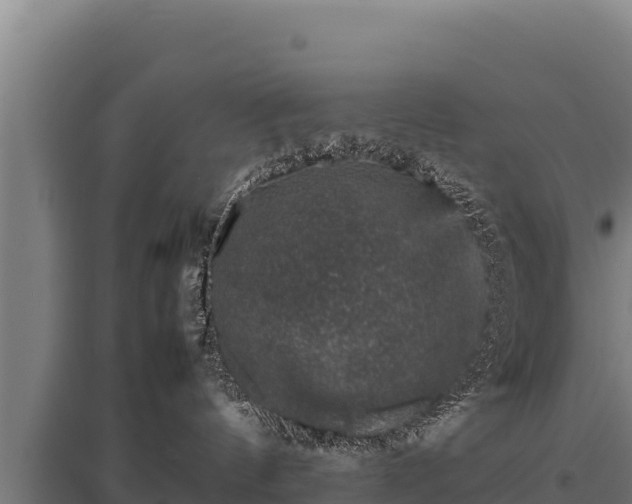 X0000095950144200801181430