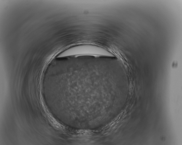 X0000095950145200801181430