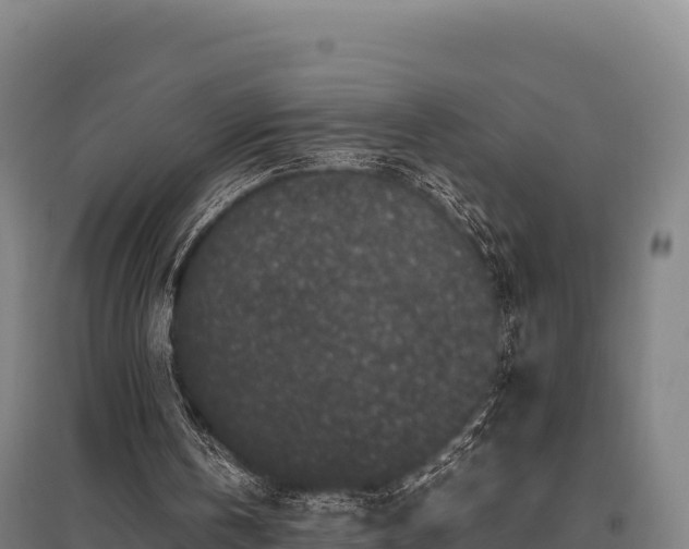 X0000095950146200801181430