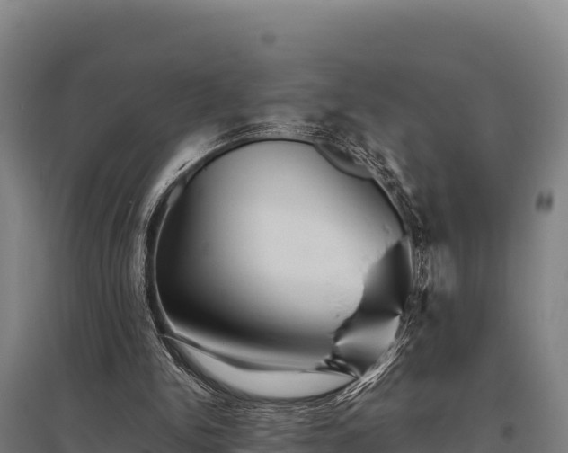 X0000095950150200801181430